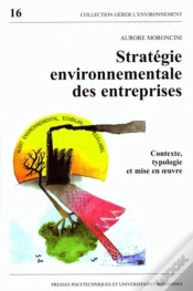 Capa do artigo Strategie Environnementale Des Entreprises