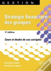 Stratégie Financière Des Groupes (2e Édition)