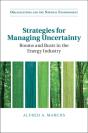 Strategies For Managing Uncertainty - Preview