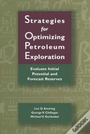 Capa do artigo Strategies For Optimizing Petroleum Exploration: