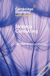 Strategy Consulting