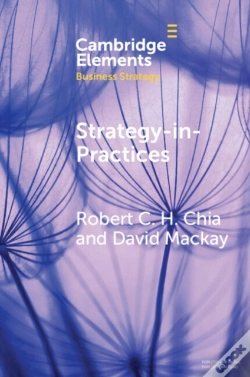Capa do artigo Strategy-In-Practices