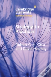 Strategy-In-Practices