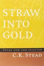 Straw Into Gold - Preview