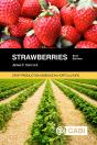Strawberries - Preview