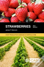 Capa do artigo Strawberries