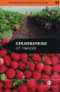 Strawberries - Preview