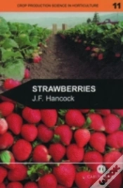 Capa do artigo Strawberries
