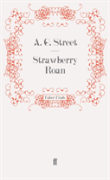 Strawberry Roan