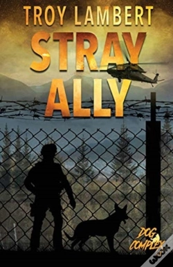 Capa do artigo Stray Ally