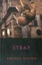 Stray - Preview