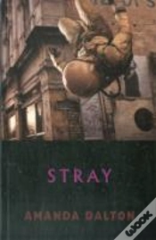 Capa do artigo Stray