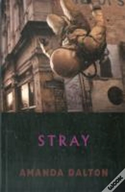 Capa do artigo Stray