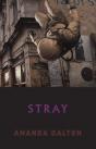 Stray - Preview