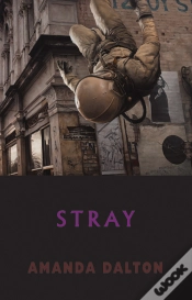Capa do artigo Stray