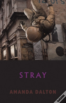 Capa do artigo Stray