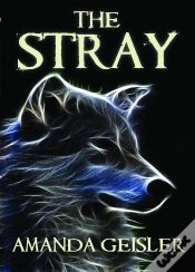 Capa do artigo Stray