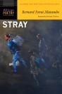 Stray - Preview
