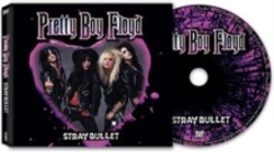 Capa do artigo Stray Bullet - CD