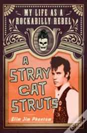 Capa do artigo Stray Cat Struts