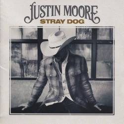 Capa do artigo Stray Dog - CD