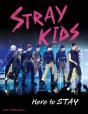 Stray Kids - Preview