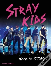 Capa do artigo Stray Kids