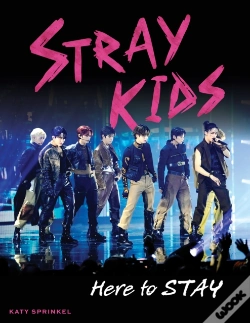 Capa do artigo Stray Kids