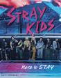 Stray Kids - Preview