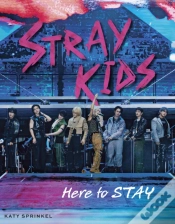 Capa do artigo Stray Kids