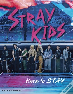 Capa do artigo Stray Kids