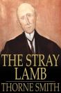 Stray Lamb - Preview