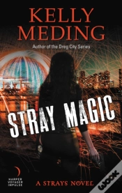 Capa do artigo Stray Magic