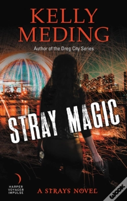 Capa do artigo Stray Magic