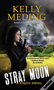 Capa do artigo Stray Moon