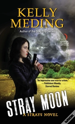 Capa do artigo Stray Moon