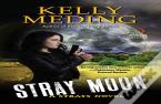 Stray Moon