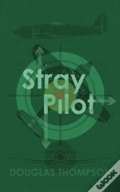 Capa do artigo Stray Pilot