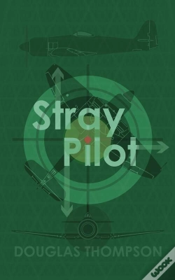 Capa do artigo Stray Pilot