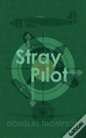 Stray Pilot