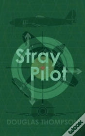 Capa do artigo Stray Pilot