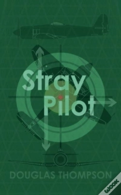Capa do artigo Stray Pilot