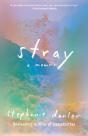 Stray - Preview