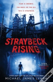 Capa do artigo Straybeck Rising