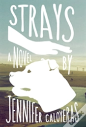 Capa do artigo Strays