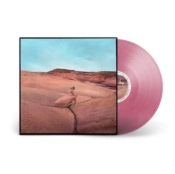 Capa do artigo Strays - Vinil