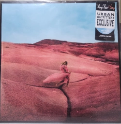 Capa do artigo Strays - Vinil