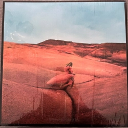 Capa do artigo Strays - Vinil