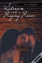 Capa do artigo Stream Into A Raging River