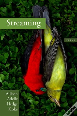 Capa do artigo Streaming